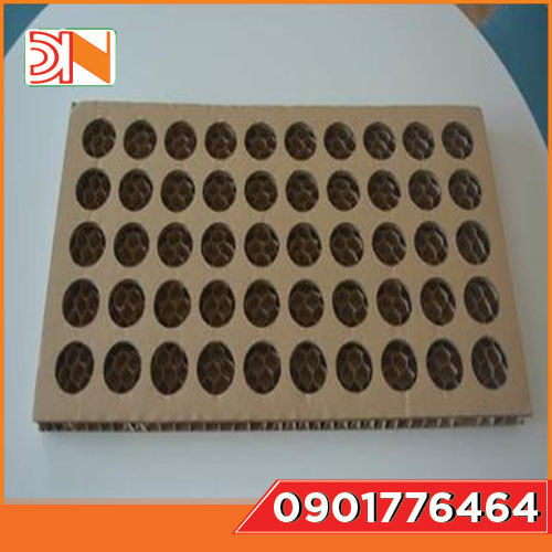 Khay, Vỉ Carton